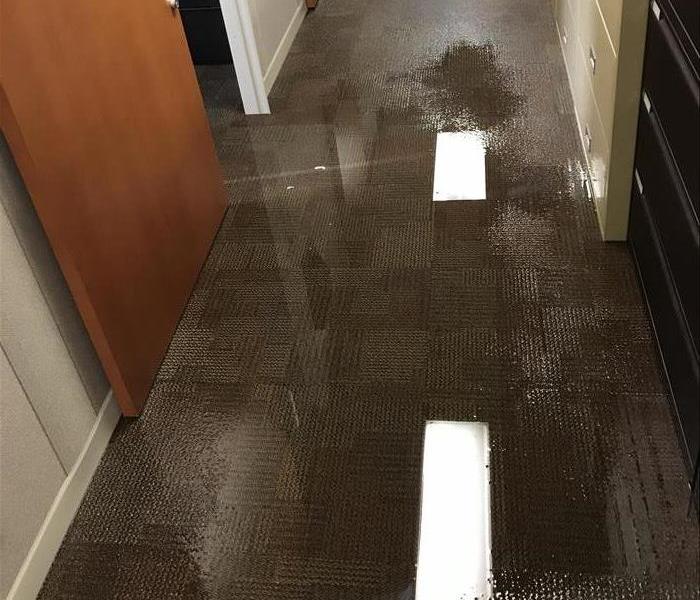 Flooded Hallway