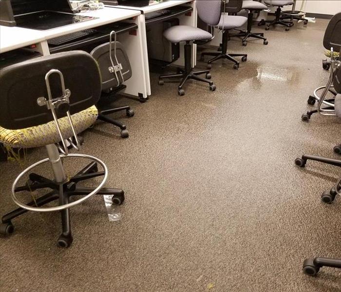 Wet lab chairs and carpet 