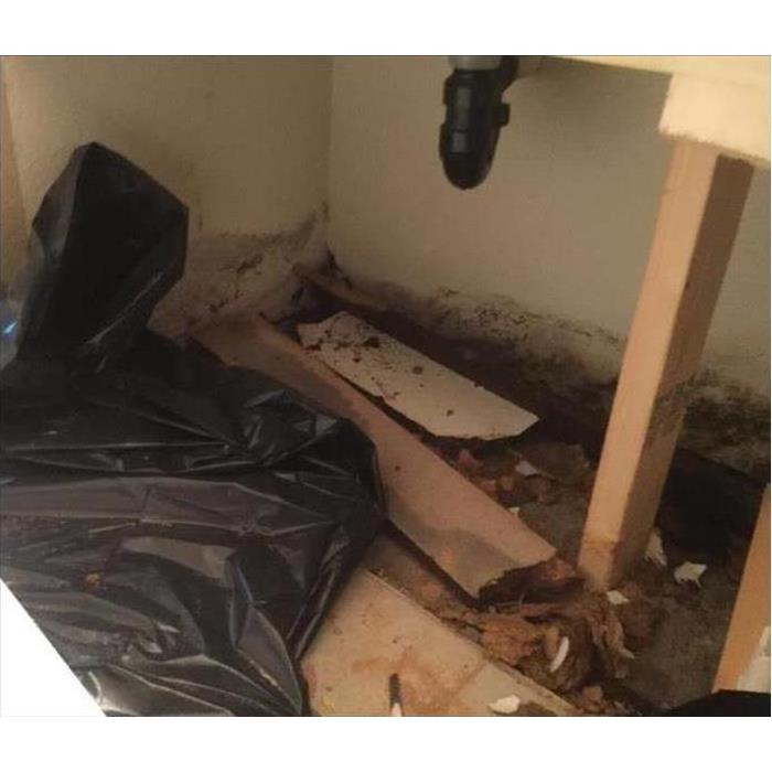 Mold Growth Under Cabinets 