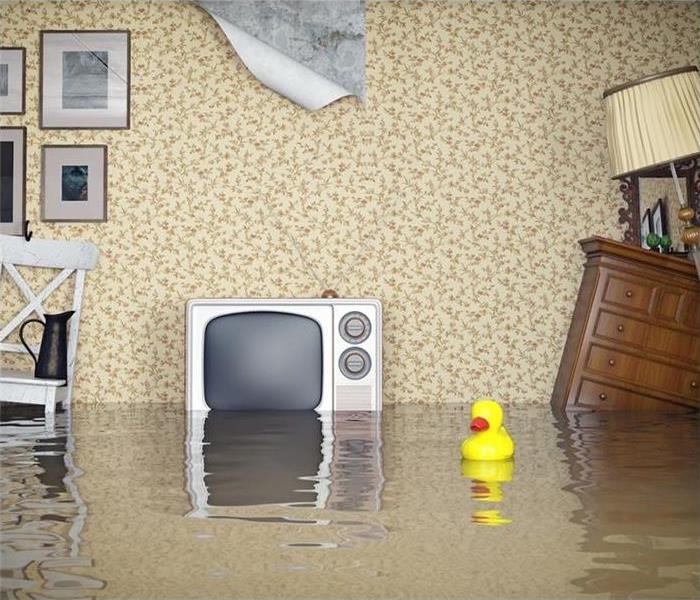 Photo of a flooded Livingroom 