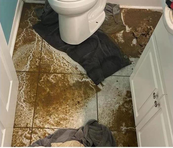 Water damage from overflowed toilet